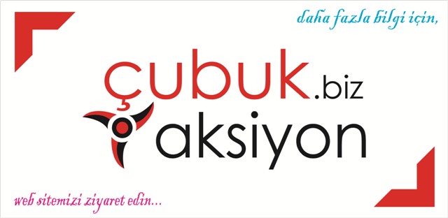 cubukaksiyon.com